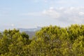 Sandstone cliffs and green forest of Cap Canaille, Falaises Soubeyranes, Southern France