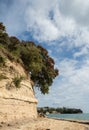 Sandstone Cliffs at Murrays Bay Vertical