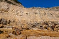 Sandstone cliffs at Pett Level in Sussex, with a blue sky overhead