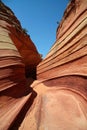 Sandstone Desert Trail