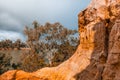 Sandstone eroding cliffs and gum trees. Royalty Free Stock Photo