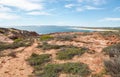 Sandstone and Flora: Red Bluff Royalty Free Stock Photo