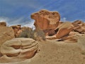 Sandstone Formations in Devil`s Garden Royalty Free Stock Photo