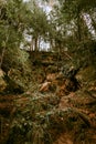 Sandstone formations at Licu and Langu cliffs in Latvia Royalty Free Stock Photo