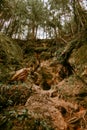 Sandstone formations at Licu and Langu cliffs in Latvia Royalty Free Stock Photo