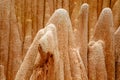 Sandstone formations and needles in Tsingy Rouge Park in Madagascar