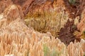 Sandstone formations and needles in Tsingy Rouge Park in Madagascar