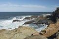 Sandstone Formations at Shore Acres State Park, Oregon