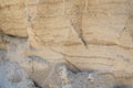 Sandstone is a fragmentary sedimentary rock, a homogeneous or layered aggregate of fragmentary grains and grains of sand