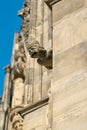 Sandstone gargoyle on the facade of the Gothic Magdeburg Cathedral in Germany