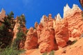 Bryce Canyon National Park Sandstone Hoodoos along Navajo Loop Trail, Utah, USA Royalty Free Stock Photo