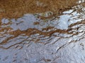 Sandstone that is inundated by river water