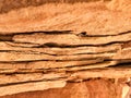 Sandstone layers closeup colorful background abstract