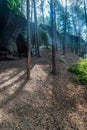 Sandstone massif with trees in CHKO Kokorinsko - Machuv kraj in Czech republic