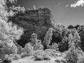 Infrared image, Navajo Sandstone monolith in Zion