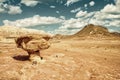 The Sandstone Mushroom in Timna Park HDR Royalty Free Stock Photo