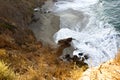 Sandstone path overlooking cliff side, pacfic ocean waves on a sandy beach, rocks