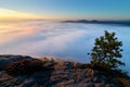 Sandstone peaks increased from foggy background, the fog is orange due to sunrise, sun on the sky, Germany. Beautiful morning view