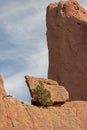 Sandstone rock cliff formations in the Garden of the Gods national landmark in Colorado Springs Colorado USA Royalty Free Stock Photo