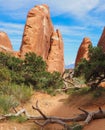 Sandstone rock formation in the Fin Canyon on Devil's Garden trail in Arches National Park, Utah, USA, on a Royalty Free Stock Photo