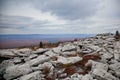 Sandstone rock formations along Rocky Ridge Trail in Dolly Sods Wilderness, West Virginia Royalty Free Stock Photo