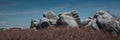 Sandstone rock formations at Bear Rocks in Dolly Sods Wilderness Area in West Virginia, USA Royalty Free Stock Photo