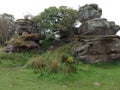 Sandstone rock formations at Brimham rocks Royalty Free Stock Photo