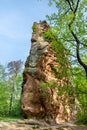 Sandstone rock in the Palatinate Forest. Germany Royalty Free Stock Photo