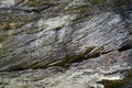 Sandstone rocks in the Bohemian Switzerland, Chech. Royalty Free Stock Photo