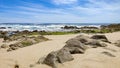 Sandstone rocks jutting from sand on beach in Povoa De Varzim, Portugal.