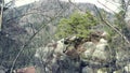 Sandstone rocks, rock massifs in forest. Climbing landscape in Germany, big stones