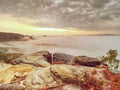 Sandstone rocky summit with heather bushes and bent tree Royalty Free Stock Photo