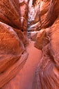 Sandstone Slot Canyon in Nevada Valley Of Fire