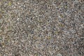 Sandstone texture. Background of grey pebbles