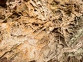 Sandstone texture detail, nature errosion. Closeup rock erosion holes sea wall. Royalty Free Stock Photo