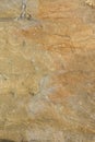 Sandstone. Texture. Royalty Free Stock Photo