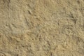 Sandstone. Texture. Royalty Free Stock Photo