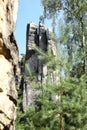 Tripled sandstone tower in Prachov Rocks