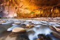 Sandstone wall in the Narrows, Zion national park, Utah Royalty Free Stock Photo