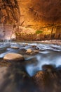 Sandstone wall in the Narrows, Zion national park, Utah Royalty Free Stock Photo