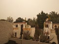 Sandstorm against palm trees and buildings. Mist with sand and dust from Africa. Calima on Canary Islands. Tenerife