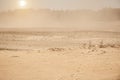 Sandstorm in the desert, the sun and forest on the horizon