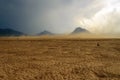 Sandstorm raging over the bank of Mahanadi river during dusk, surrounded by Eastern Ghat mountain range, copy space