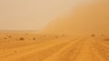 Sandstorms sweep across the horizon eroding away any signs of life and vegetation Royalty Free Stock Photo