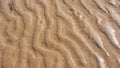 Sandwaves1