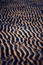 Sandwaves Royalty Free Stock Photo