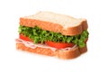 Sandwich Royalty Free Stock Photo