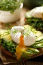 Sandwich with avocado and poached egg