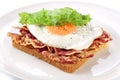 Sandwich with bacon, fried egg and lettuce on a plate. Royalty Free Stock Photo