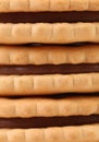 Sandwich biscuits with chocolate cream. Royalty Free Stock Photo